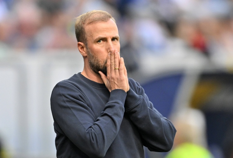 藥廠總監(jiān)談小赫內(nèi)斯執(zhí)教傳聞:這樣的猜測毫無意義